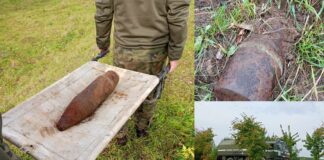 Krowa na pastwisku wykopała niebezpieczny pocisk. Rolnik powiadomił policję