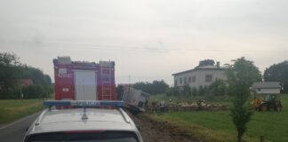 Transport ze świniami w rowie. 7 zwierząt padło!