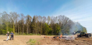 Chciał uporządkować pole, niemal wywołał pożar lasu. Dzięki dzielnicowym nie doszło do tragedii