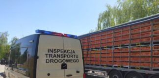 Przewoził drób bez uprawnień. Posypały się kary