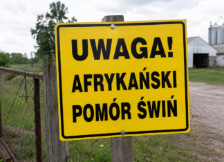 Strefa III ASF rozszerzona. Nowe ograniczenia obejmą kolejne gminy
