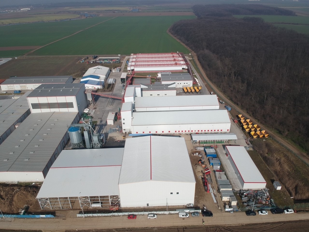 Corteva Agriscience zwiększa produkcję nasion słonecznika w Rumunii