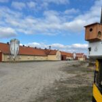 Bioasekuracja hodowli indyków w kontekście zagrożenia wirusem ptasiej grypy