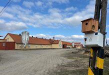Bioasekuracja hodowli indyków w kontekście zagrożenia wirusem ptasiej grypy