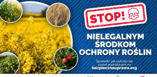 Uwaga na nielegalne środki ochrony roślin. Jak ustrzec się przed oszustwem?