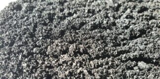Biocarbon – produkt przyszłości w rolnictwie