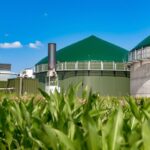 Nawet 1,7 mln zł dla gospodarstwa. Ruszył nabór na OZE i oszczędzanie energii