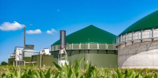 Biogazownie rolnicze i spółdzielnie energetyczne: nowe warunki od 1 października