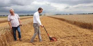Padł rekord w plonie pszenicy ozimej z hektara!