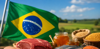 Brazylia odcięta od rynku UE! Koniec z tanim importem bez unijnych standardów
