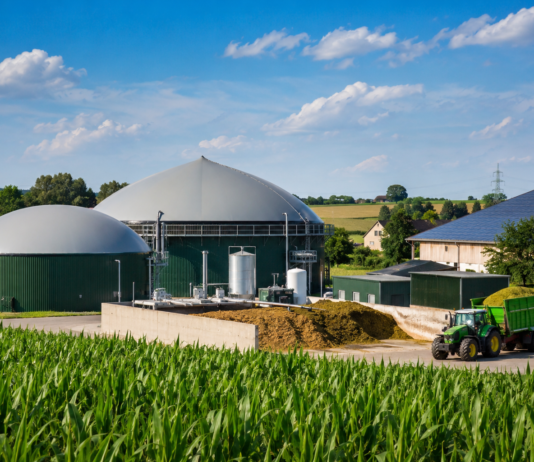 Biogaz z gospodarstw zamiast importu gazu? Polska wieś ma asa w rękawie