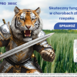 Jak skutecznie i ekonomicznie zwalczać choroby grzybowe?