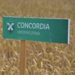 Generali przejmuje Concordię