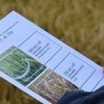 Ile już straciłeś przez niekorzystne zjawiska pogodowe? susza