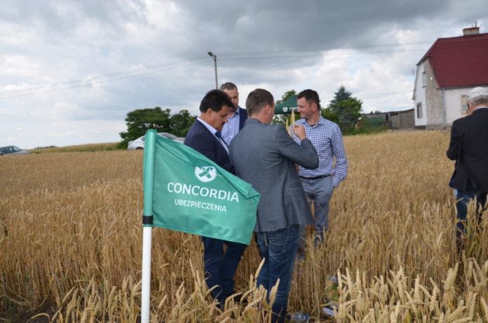 rolnik, rolnictwo, szacowanie strat suszowych, ubezpieczenia upraw, Concordia, przymrozki, składki, 
