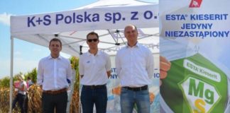Firma K+S w nowej odsłonie