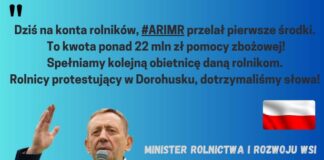 Dopłaty do zbóż już na kontach rolników. Telus potwierdził pierwszą transzę