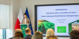 Do 2030 roku ponad milion hektarów? Rośnie powierzchnia upraw ekologicznych w Polsce