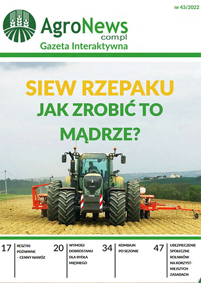 Gazeta Interaktywna 43