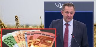 Zielone dopłaty zamiast nakazów? UE obiecuje nowe pieniądze dla rolników