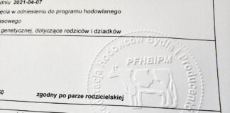 Zmiany w zabezpieczeniu świadectw zootechnicznych