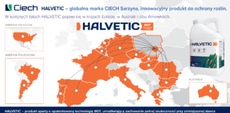 Innowacyjny herbicyd Halvetic 180 SL już dostępny na rynku