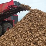 Rewolucja energetyczna w branży cukrowniczej. Wysłodki zasilą biogazownie