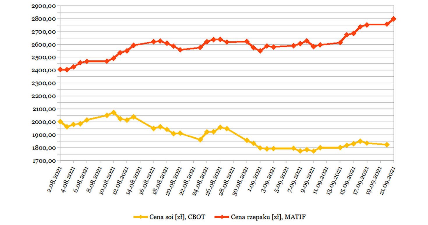 Źródło: Opracowanie własne na podstawie CBOT, NBP, Matif