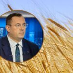 Ceny zbóż lecą w dół – rząd rozkłada ręce!