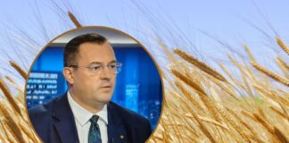Ceny zbóż lecą w dół – rząd rozkłada ręce!