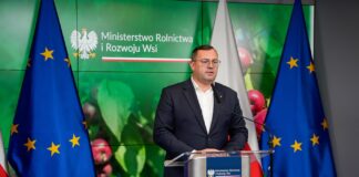 Ceny wiśni runęły w kilka dni. Minister kieruje sprawę do UOKiK