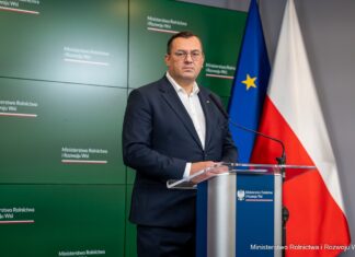 Rząd zapowiada odbudowę polskiej hodowli świń. Minister: koniec z jednorazowymi zapomogami
