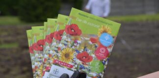 Bayer i Siemens wspólnie wspierają bioróżnorodność