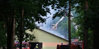 Ogromny pożar chlewni. Część zwierząt spłonęła