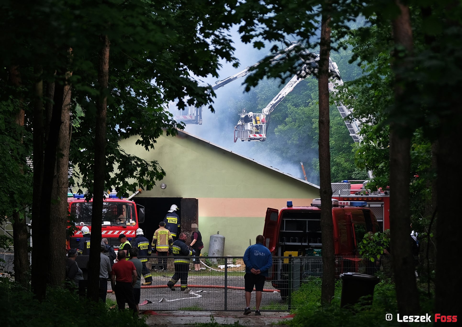 Ogromny pożar chlewni. Część zwierząt spłoneła
