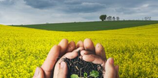 Innowacyjne zaprawy nasienne od Corteva Agriscience