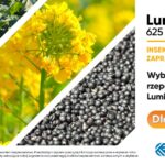 LUMIPOSA – skuteczna ochrona rzepaku ozimego we wczesnej fazie wzrostu