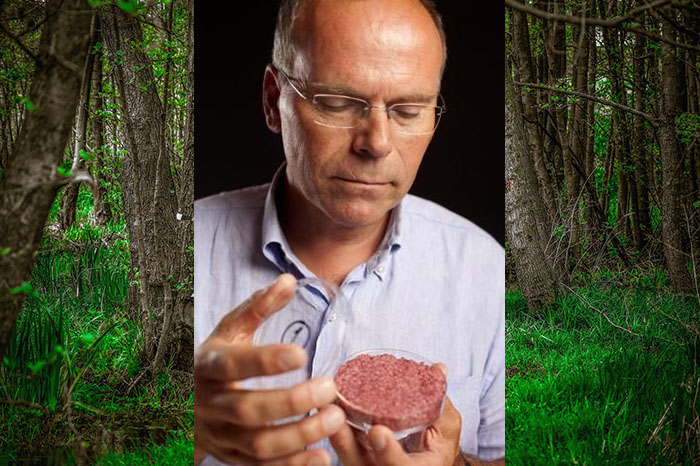 Bioreaktor zamiast kurczaka, krowy i drzewa
