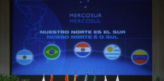 Rolnicy alarmują: umowa UE–Mercosur może uderzyć w europejskie rolnictwo