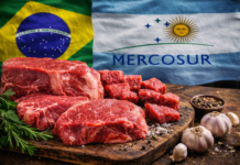 Mercosur i „kwota Hilton”. Polscy hodowcy mogą stracić kontrakty!