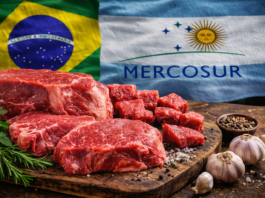Mercosur miał zalać Polskę tanią żywnością. Najnowsze dane pokazują coś innego
