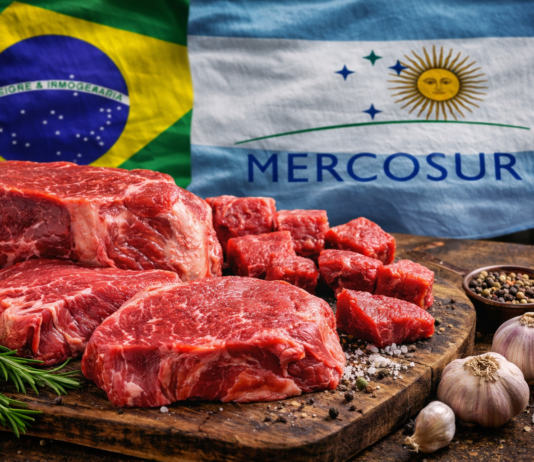 Mercosur miał zalać Polskę tanią żywnością. Najnowsze dane pokazują coś innego