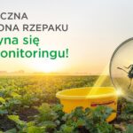 Kiedy naprawdę zaczyna się sezon wiosennej ochrony insektycydowej rzepaku?