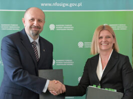 Ponad pół miliarda złotych na ratowanie lasów