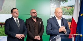 Nowy ekoschemat i wyższe dopłaty. Jak rząd chce wzmocnić polską wołowinę