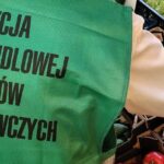 Owoce i warzywa bez flagi! Inspekcja znalazła nieprawidłowości