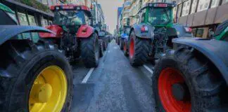 Wielki protest rolników. „To jest wojna”