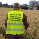 PIORiN zaczyna sezon kontroli. O czym muszą pamiętać producenci?