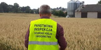 PIORiN zaczyna sezon kontroli. O czym muszą pamiętać producenci?