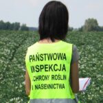 Wnioski o ocenę polową plantacji nasiennych w 2025 r. Znamy terminy dla poszczególnych upraw